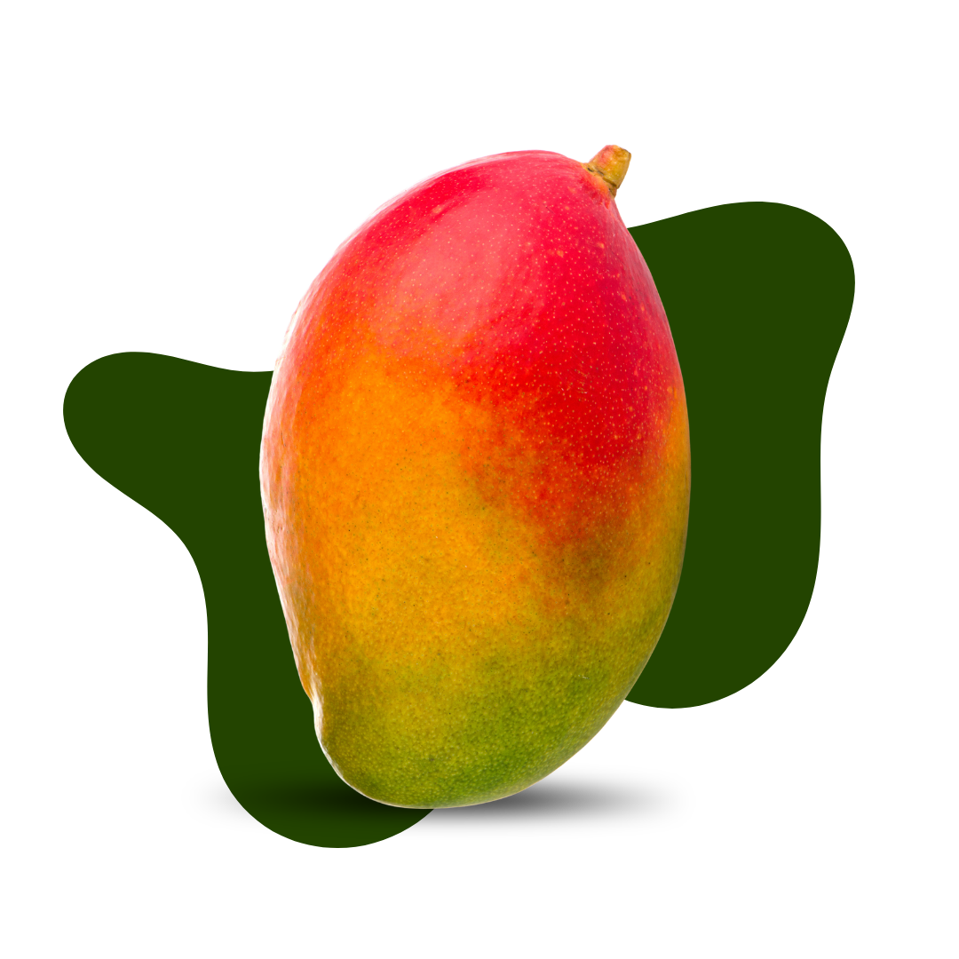 Gulab Khas Mango