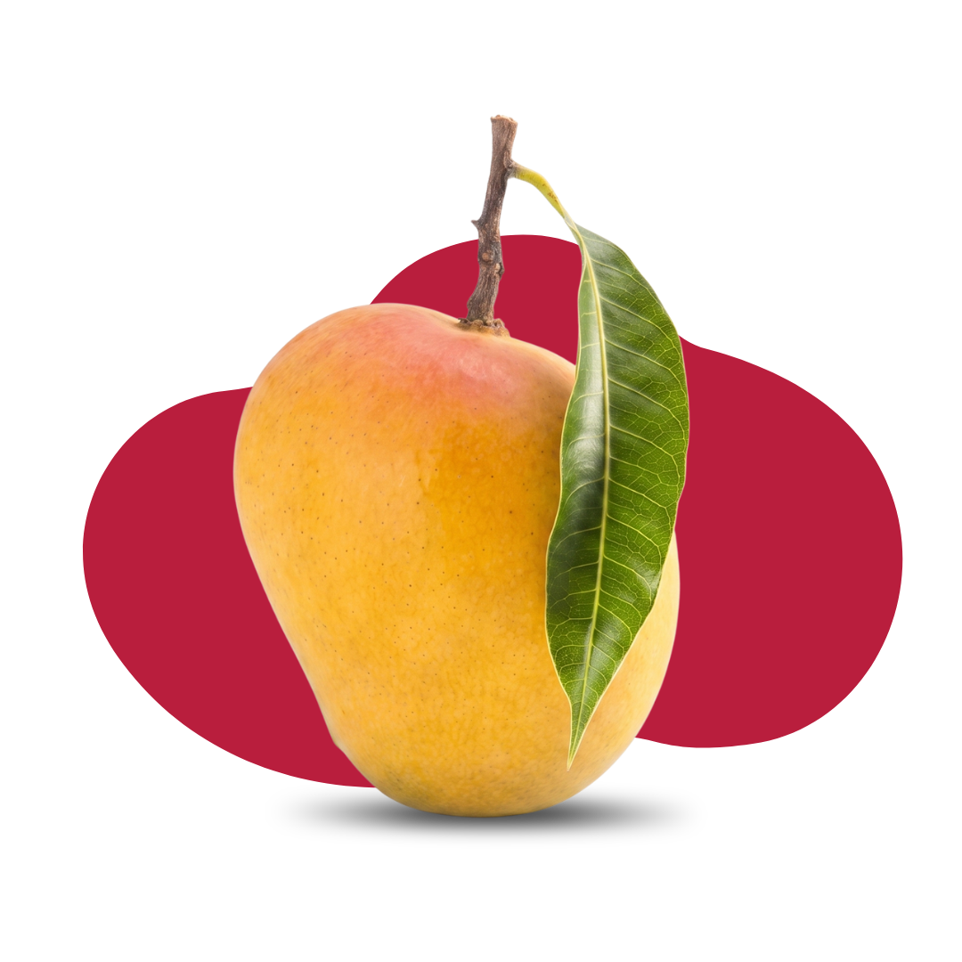 Ratnagiri Alphonso Mango