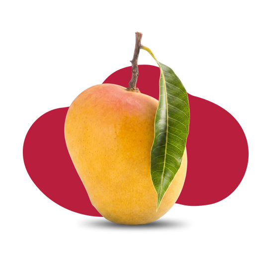 Ratnagiri Alphonso Mango