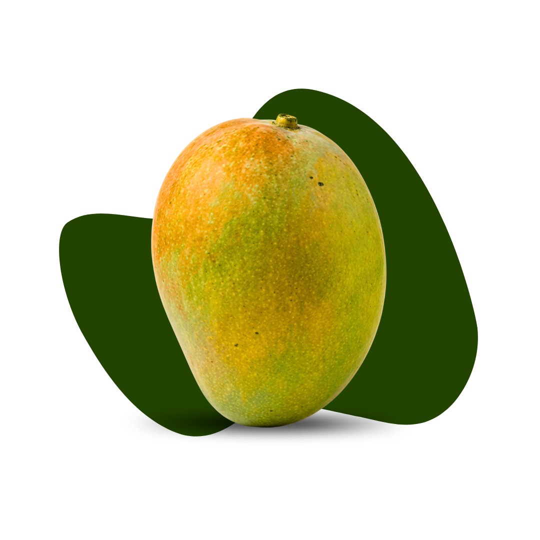 Gopal Bhog Mango