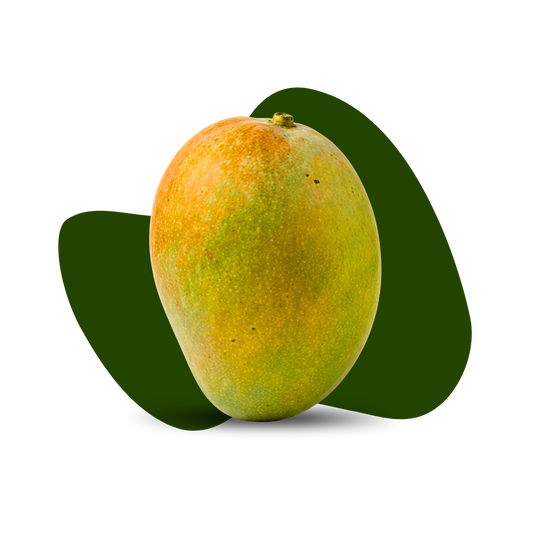 Gopal Bhog Mango