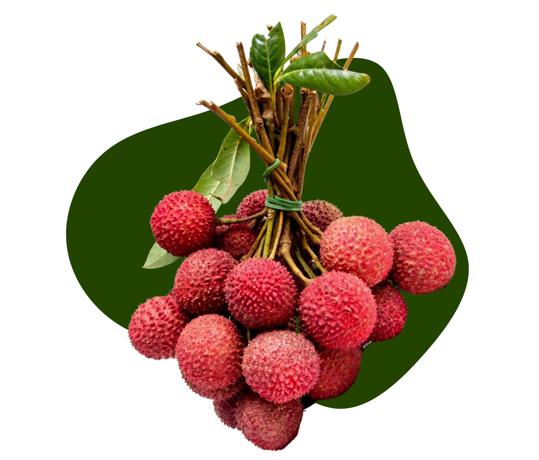 Fresh Bengal Litchi