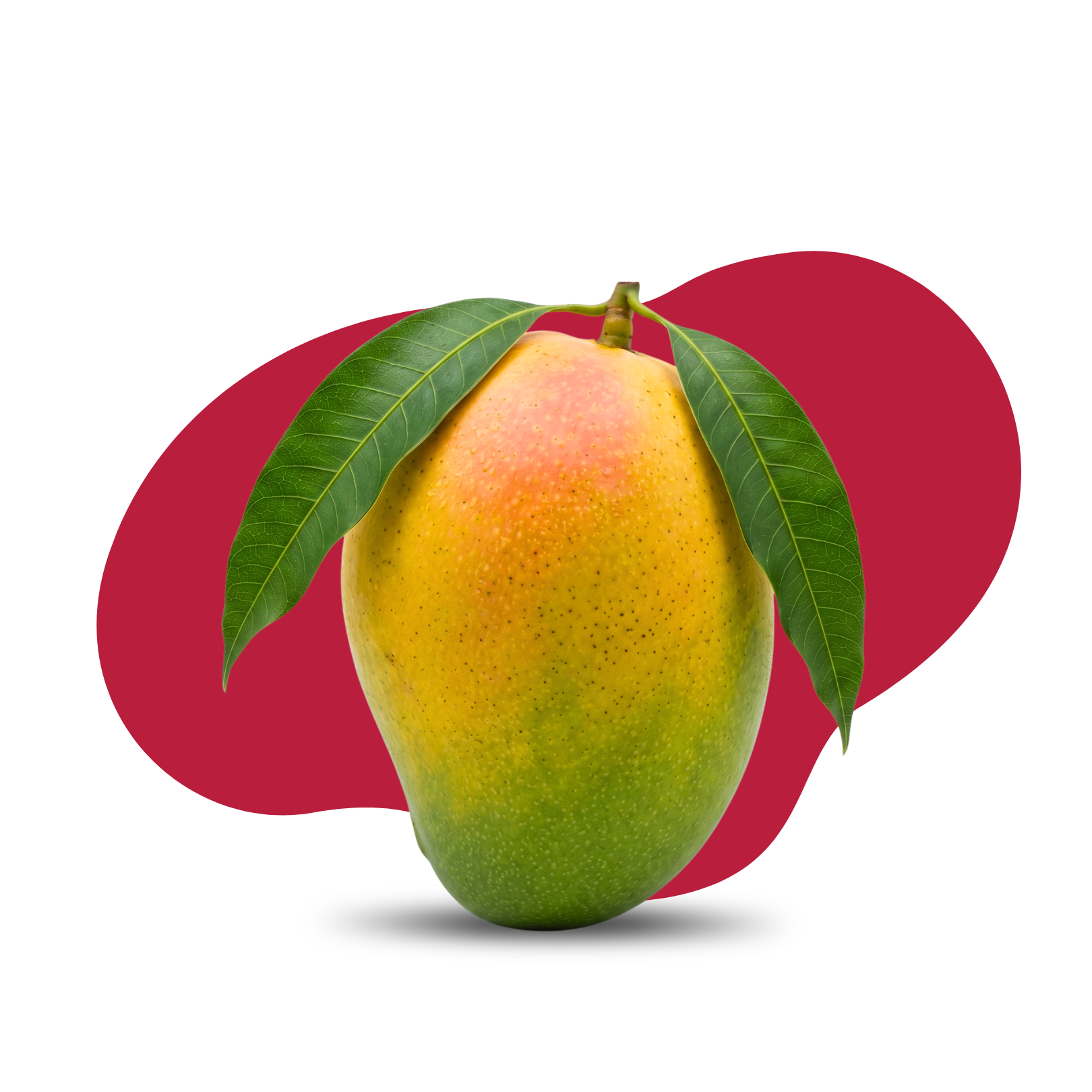 Himsagar Mango