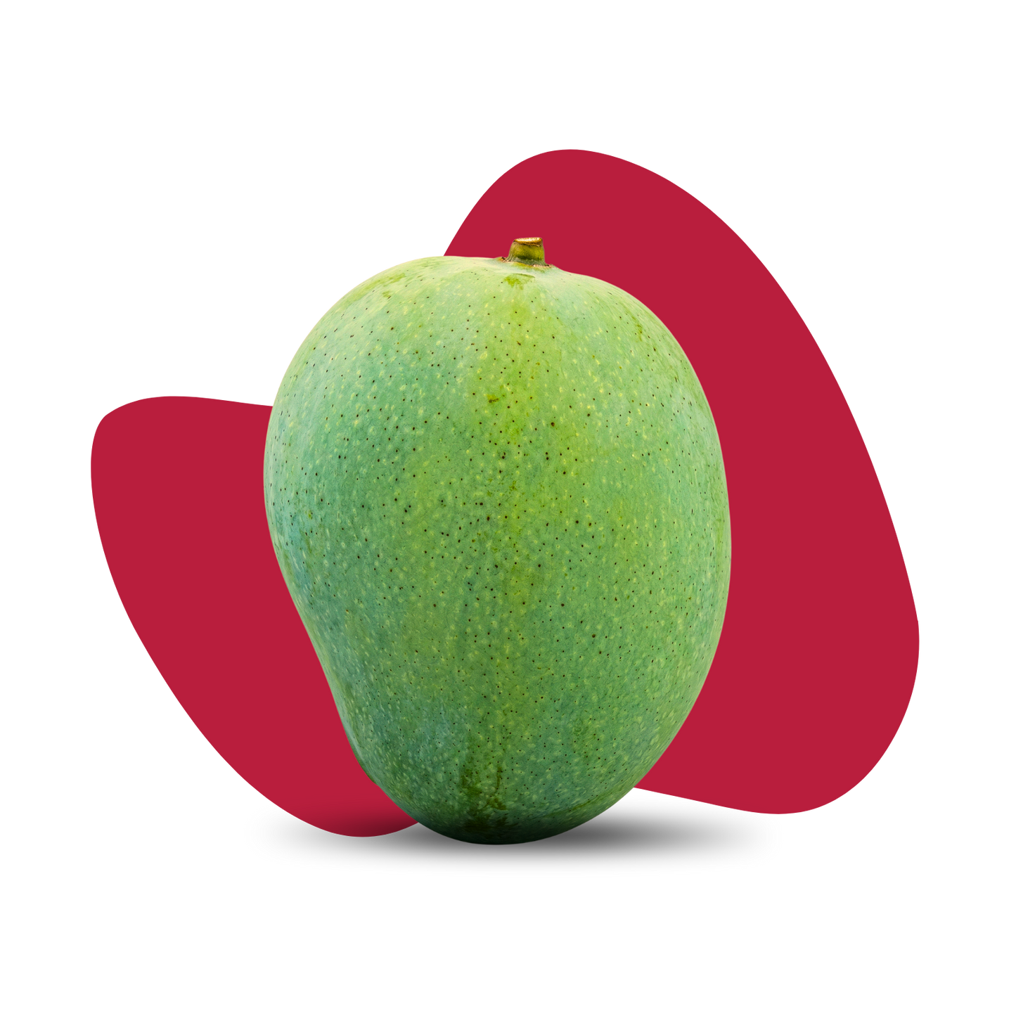 Gourmoti