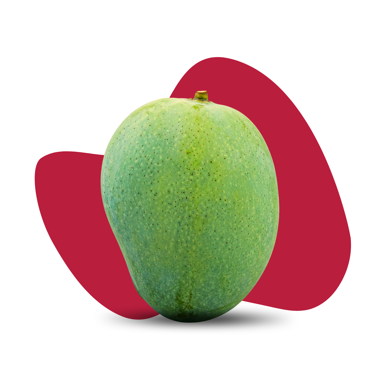 Gourmoti