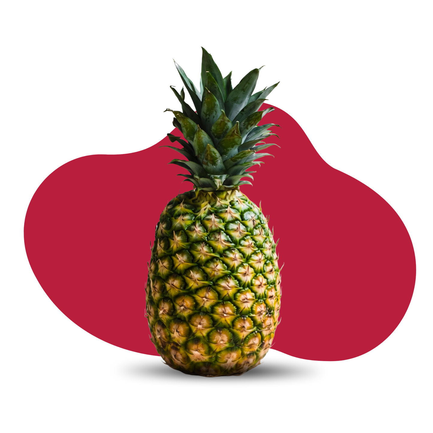 Queen Pineapple