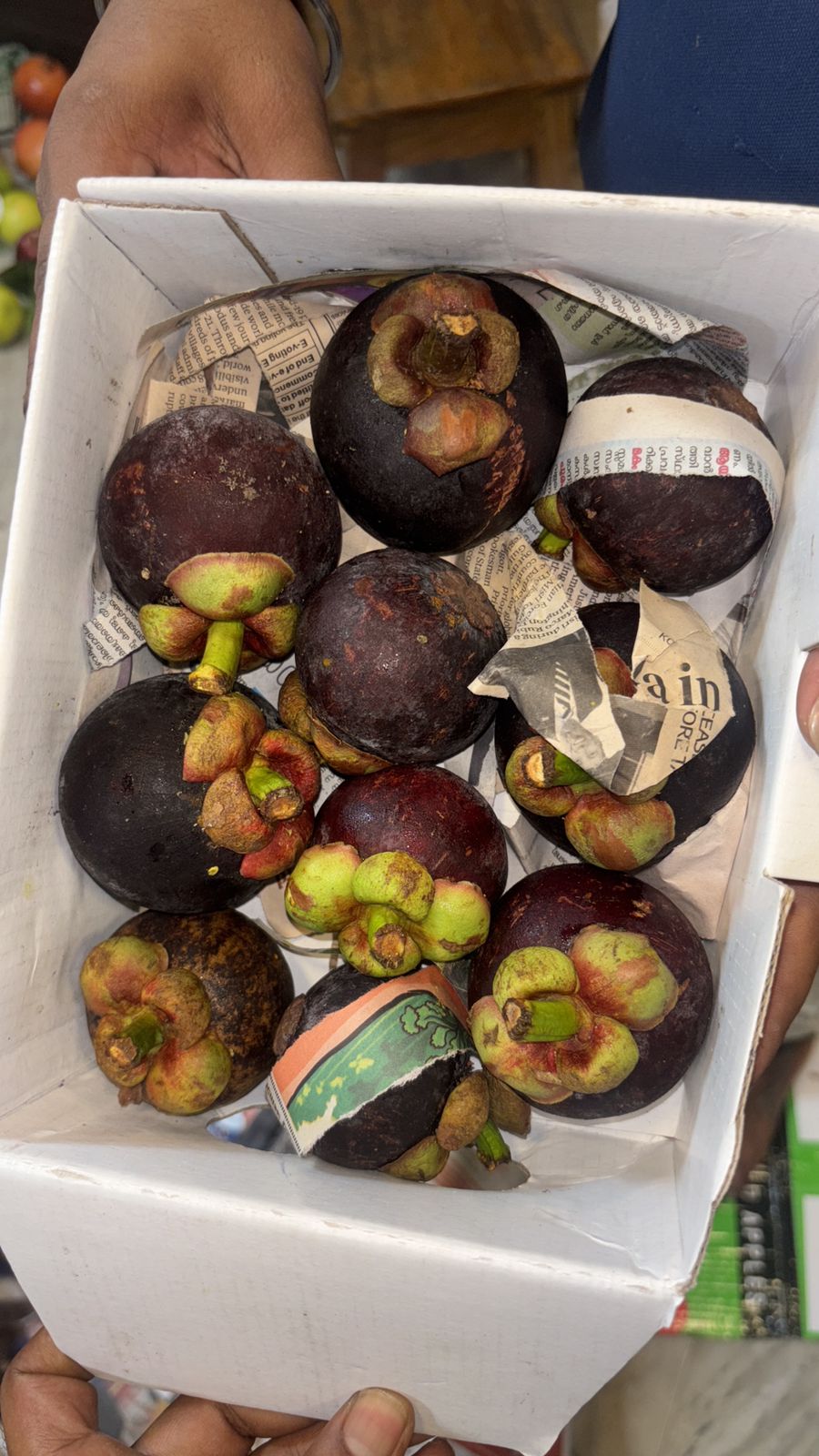Mangosteen